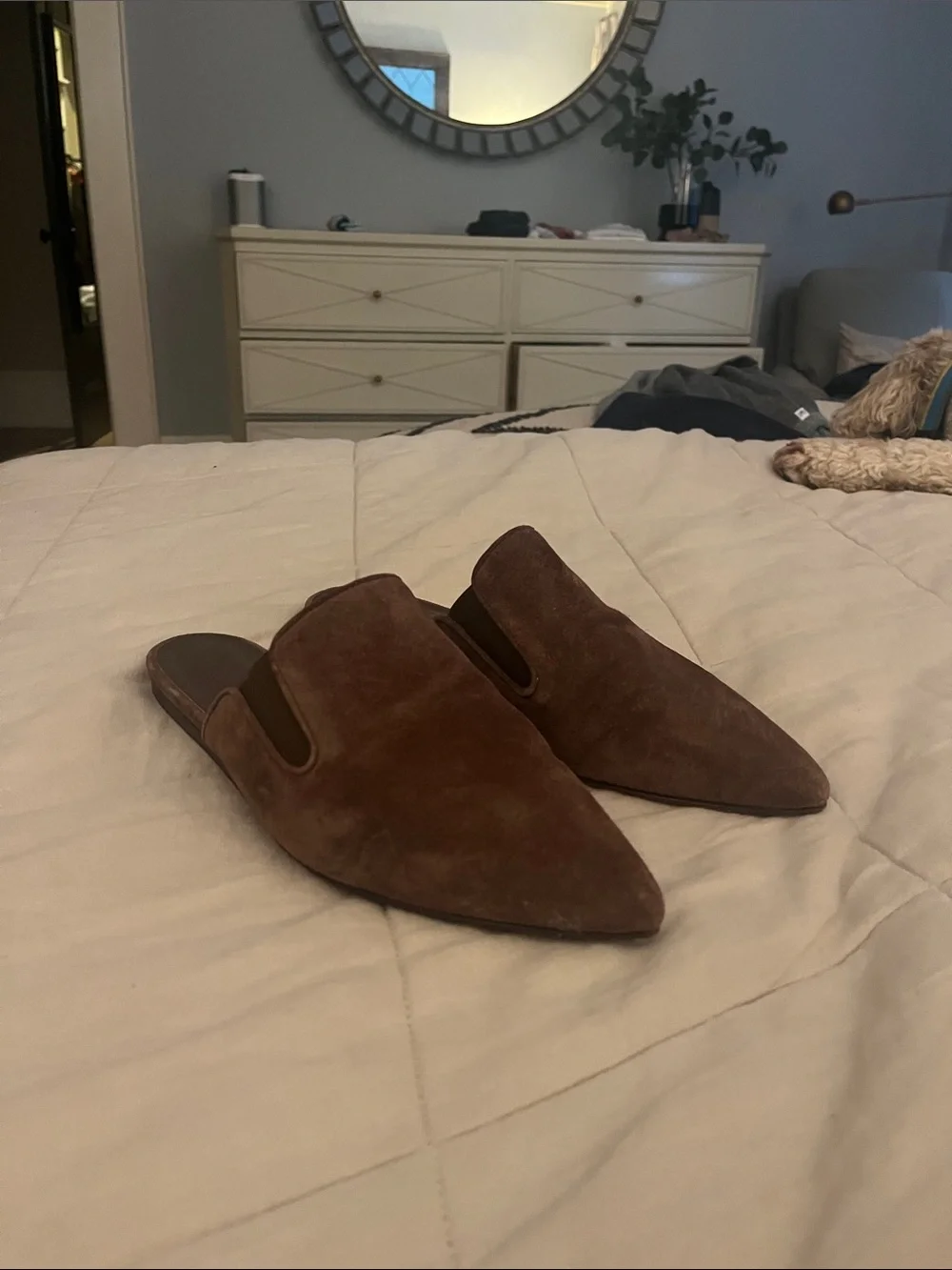 Jenni Kayne Brown Suede Pointed Toe Loafer Mules